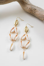 Cowry Shell Earring