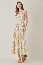 Garden Strolls Dress