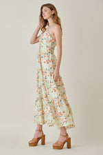 Garden Strolls Dress