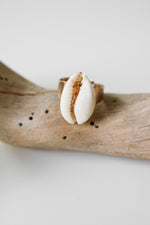 Shell Ring